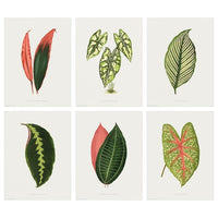 IKEA Posters