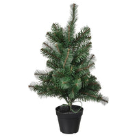 Christmas trees & plants