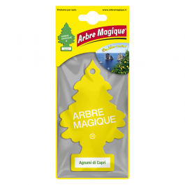 ARBRE MAGIQUE MONO CITRUS OF CAPRI PCS
