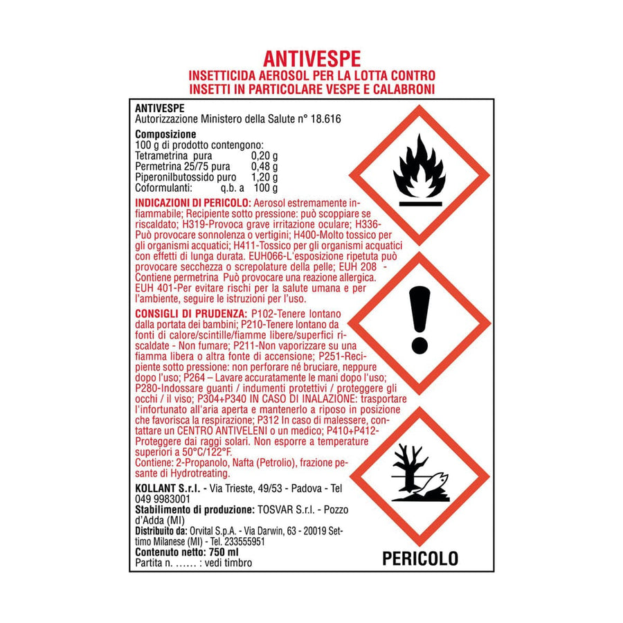 Bricocenter ANTIVESPE FOAMING AGENT SP 750ML