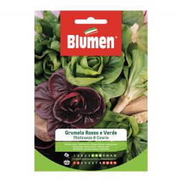GREEN AND RED GRUMOLO CHICORY MISTICANZA