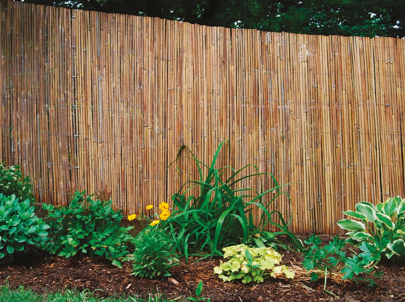 ARELLA BEACH MEZZA CANNA 1X3 VERDELOOK