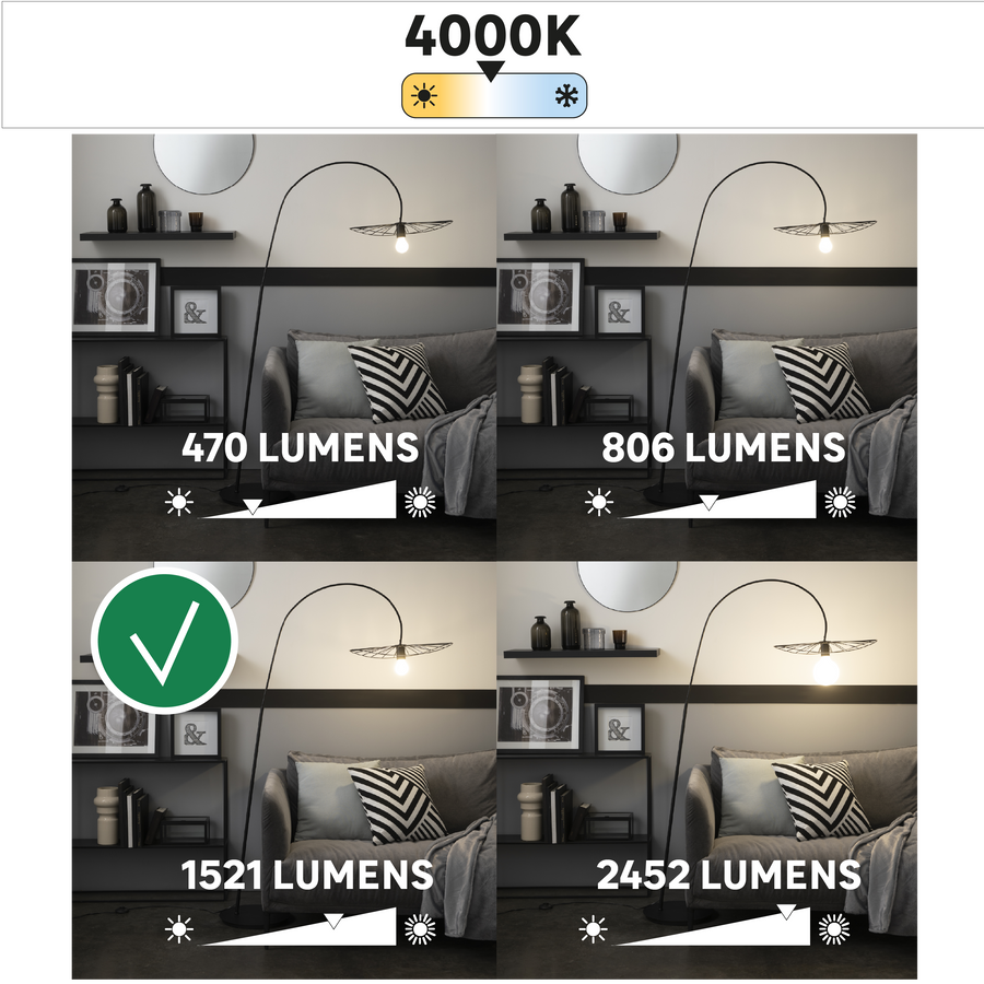 LED BULB E27=100W FROSTED GLOBE NATURAL LIGHT DIMMABLE