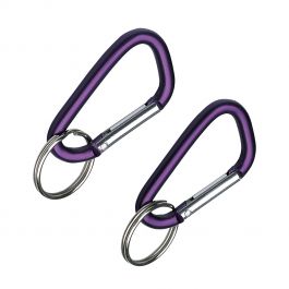 2 COLOURED KARABINERS WITH RING