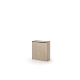 MULTI-PURPOSE CABINET - 2 DOORS. GOL HANDLE