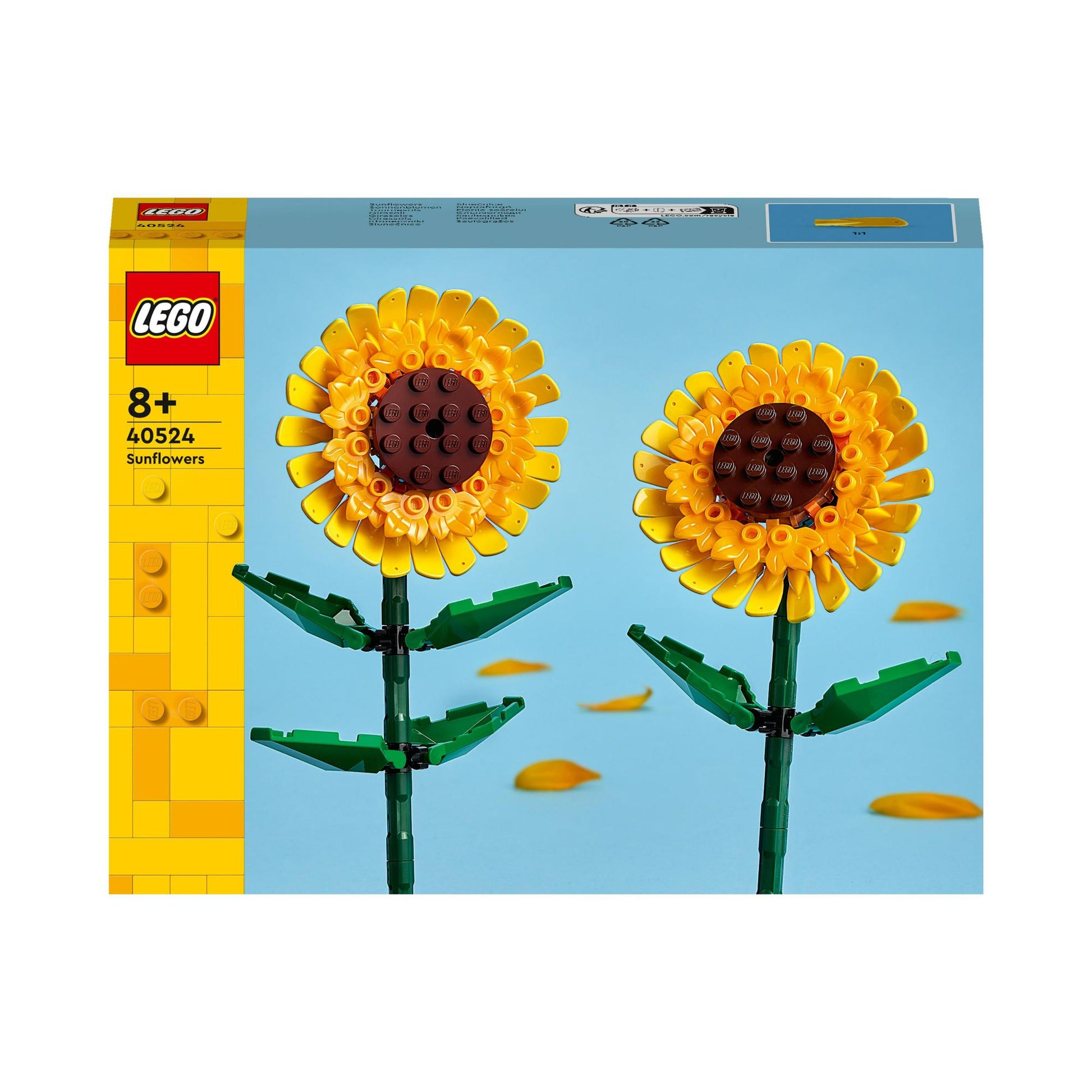 Copy of LEL Flowers - Sunflowers