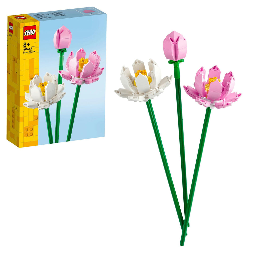 LEL Flowers - Lotus flowers