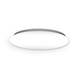 BATHROOM CEILING LIGHT SMART METAL WHITE D25 LED 12W CCT DIMMABLE IP44