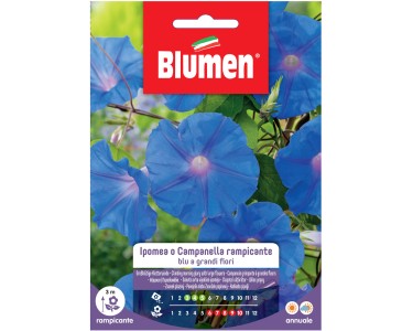 IPOMEA BELL RAMP.BLUE