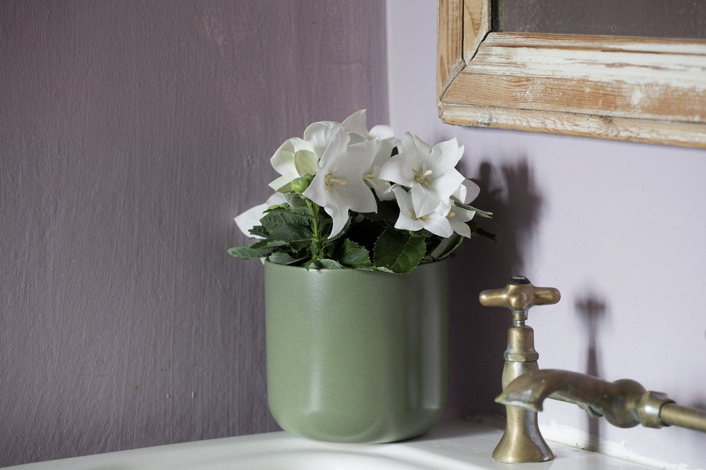 Bricocenter CASPO CYLINDER CM 15 H 15 GREEN