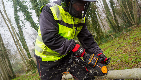 ELETTROSEGA A BATTERIA 20V WORX NITRO WG