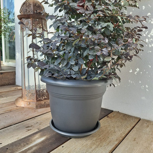 Bricocenter VASO MEDITERRANEO CM 40 H31 LT 20 ANTHRACITE