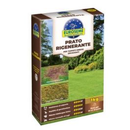 EUROSEME REGENERATING LAWN KG 1