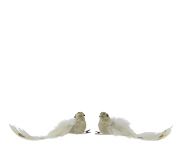 2 GOLD GLITTER BIRDS WITH FEATHERS L.15 C