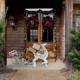 BRIGHT REINDEER 100 LED COLD LIGHT H60 C