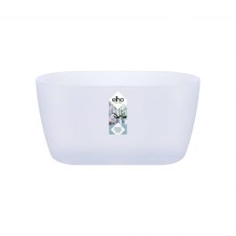 BRUSSELS ORCHID DUO COVER 25CM TRANSPARENT