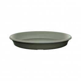 SAUCER PARIS OLIVE GREEN CM 44