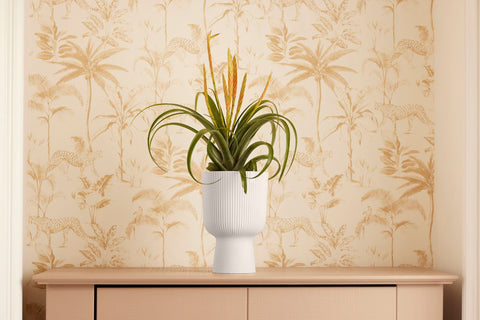 Coprivaso vibes coppa 14 cm bianco lino