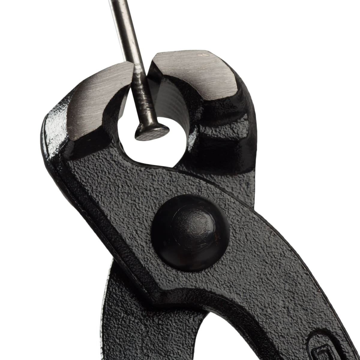 Bricocenter DEXTER TONGUE 250MM CHROME VANADIUM