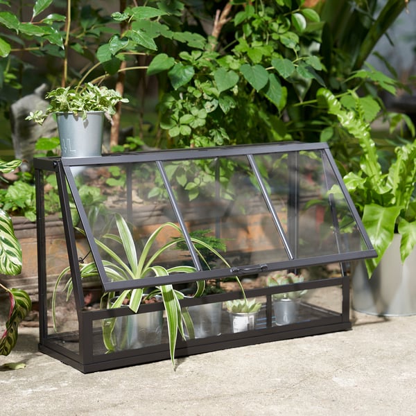 ÅKERBÄR greenhouse, in/outdoor/anthracite, 65 cm
