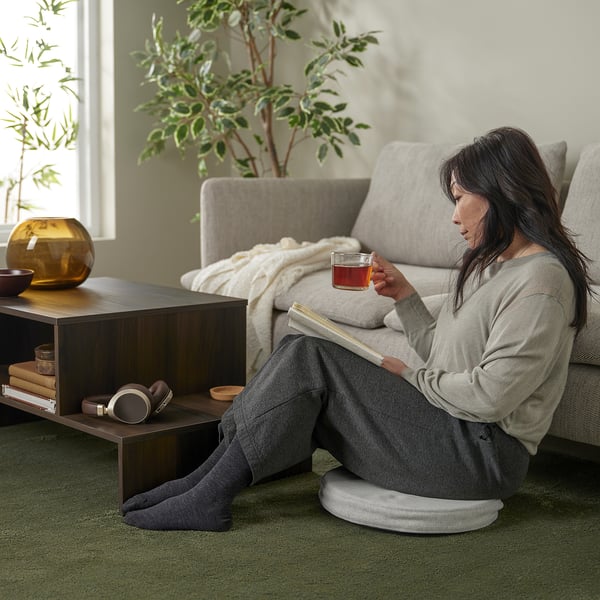 ÅKERVINDEFLY chair pad, beige, 38 cm