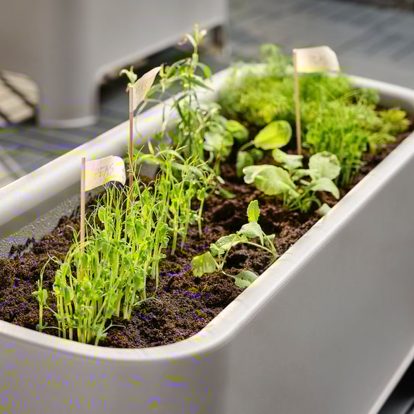 ASPAREN planter, grey outdoor, 89x38 cm