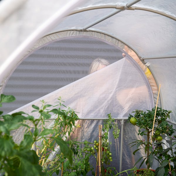 ASPAREN greenhouse, transparent white, 123x190x190 cm