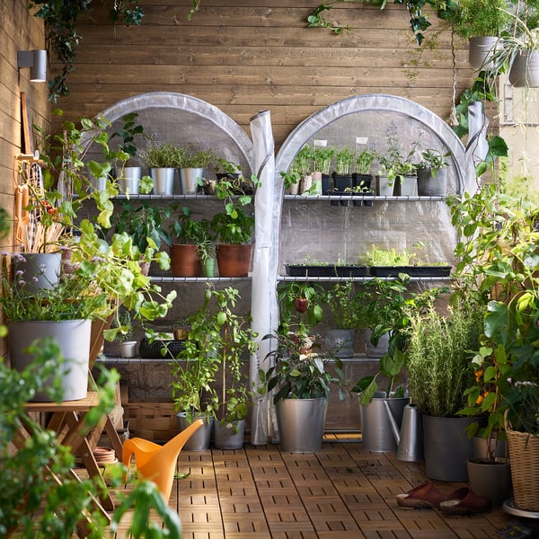 ASPAREN greenhouse, transparent white, 95x32x162 cm