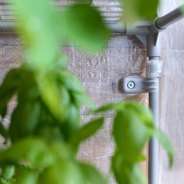 ASPAREN greenhouse, transparent white, 95x32x162 cm