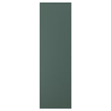 ASPUDDEN door, dark grey-green, 60x200 cm