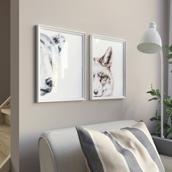 BILD poster, bear and fox, 30x40 cm, 2 pack