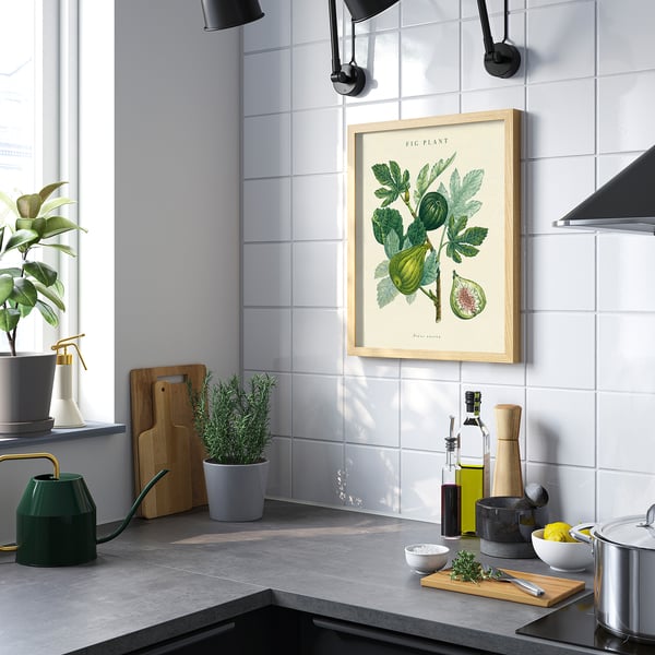 BILD poster, fig plant, 40x50 cm