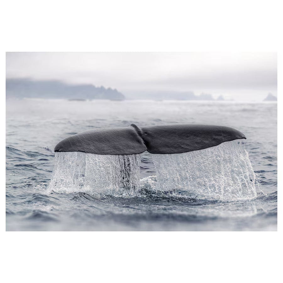 Ikea BJÖRKSTA Canvas, whale tail,118x78 cm