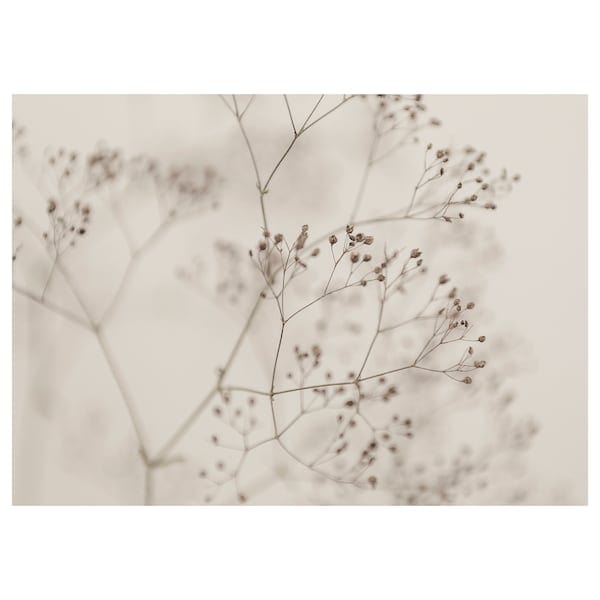 BJÖRKSTA picture, flowers-close up, 140x100 cm