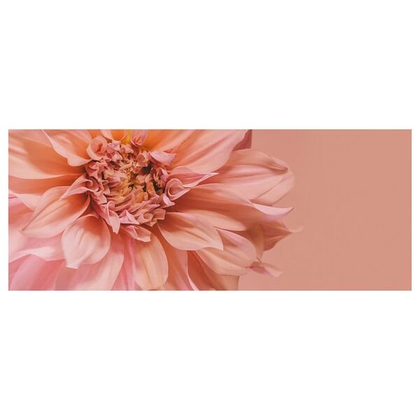 BJÖRKSTA picture, flowers-in pink, 140x56 cm
