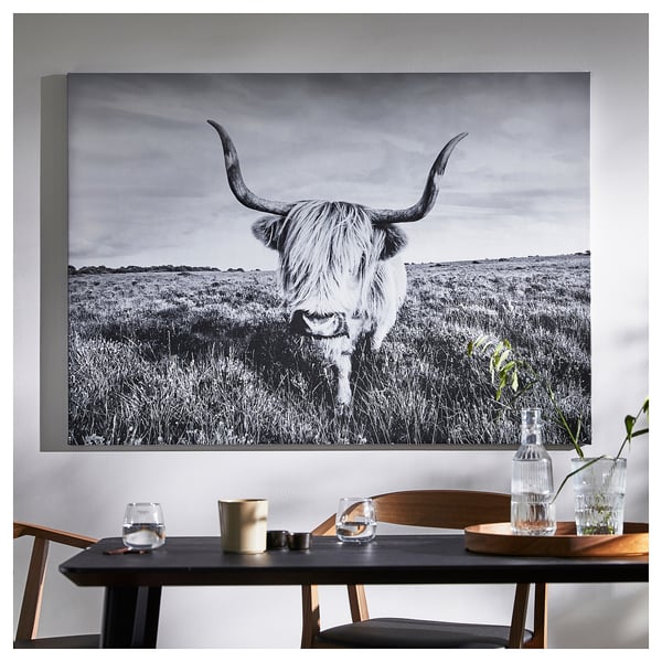 BJÖRKSTA picture, curious cow, 140x100 cm