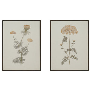 BLODFLÄDER picture, floral simplicity, 30x40 cm, 2 pack