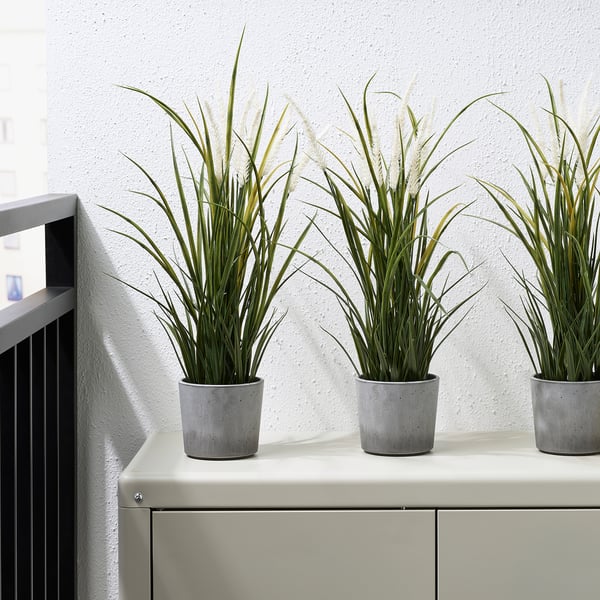 BOYSENBÄR plant pot, in/outdoor light grey, 9 cm