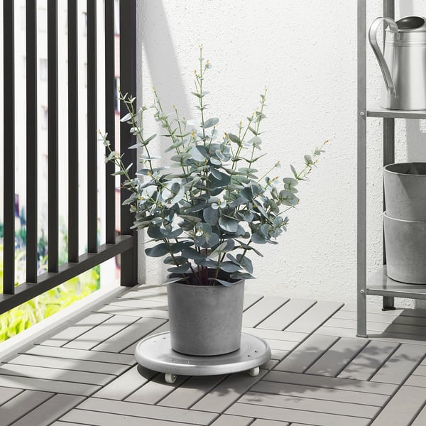 BOYSENBÄR plant pot, in/outdoor light grey, 15 cm