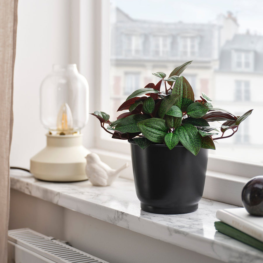 BROKTRAST plant pot, in/outdoor/dark grey, 12 cm