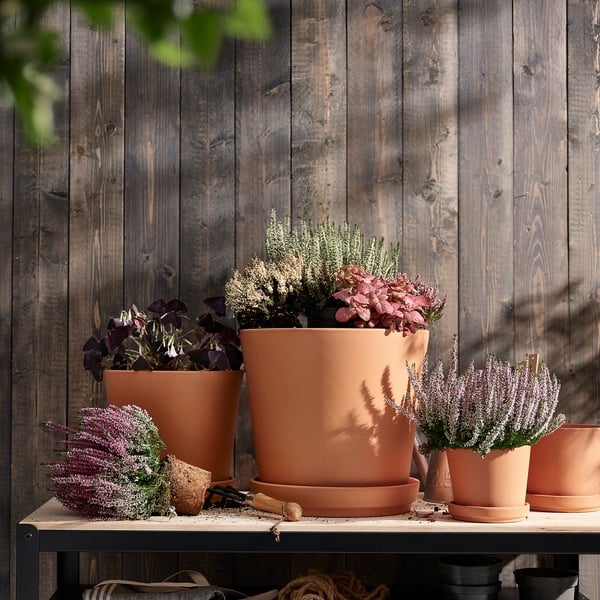 BRUNBÄR plant pot with saucer, outdoor terracotta, 32 cm
