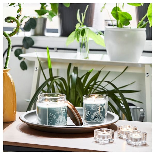 Ikea BUKETTAPEL - Scented cndl in glass w lid/2 wicks, bergamot & cedarwood/pale green, 70 hr
