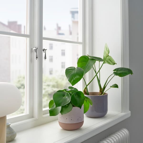 Ikea BUSKKAPRIFOL - Plant pot, in/outdoor/beige, 12 cm