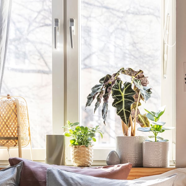 CHIAFRÖN plant pot, in/outdoor white, 12 cm