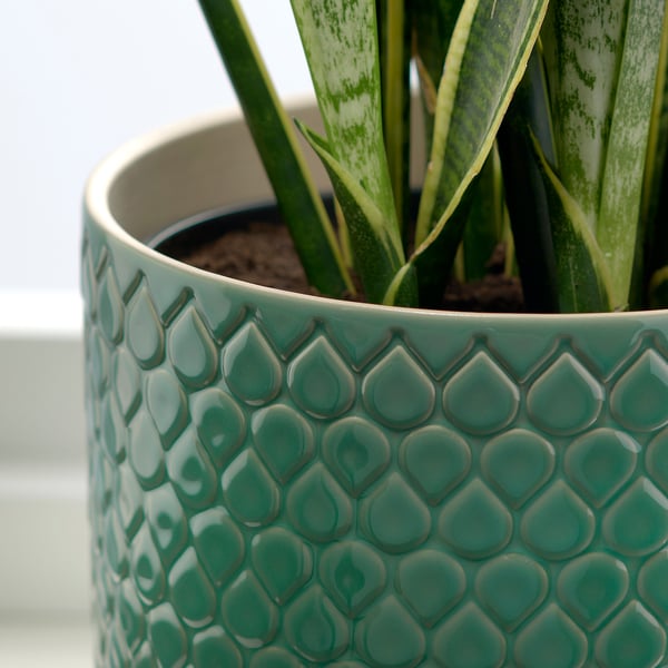 CHIAFRÖN plant pot, in/outdoor green, 24 cm