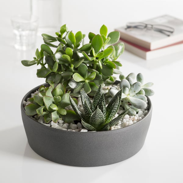 DYFT decoration, stones, white, 650 g