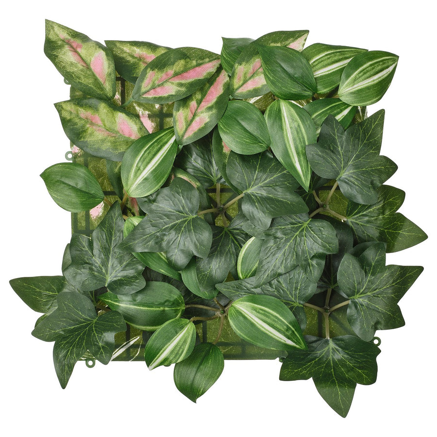 FEJKA artificial plant, wall mounted/in/outdoor Wax plant, 25x25 cm