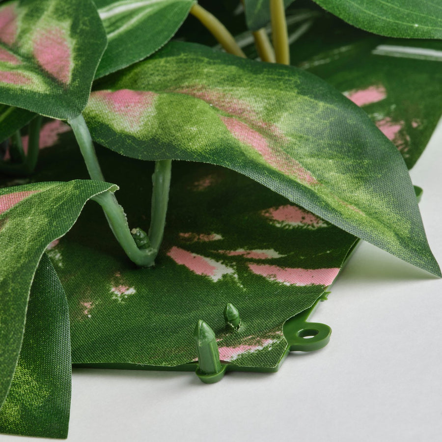 FEJKA artificial plant, wall mounted/in/outdoor Wax plant, 25x25 cm