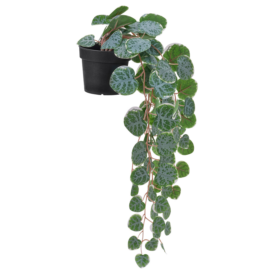 FEJKA artificial potted plant, in/outdoor hanging/String of hearts, 9 cm