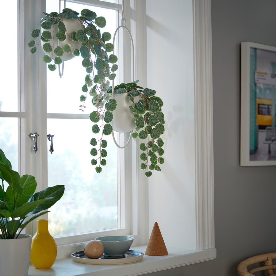 FEJKA artificial potted plant, in/outdoor hanging/String of hearts, 9 cm